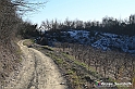 VBS_0884 - Corneliano d'Alba